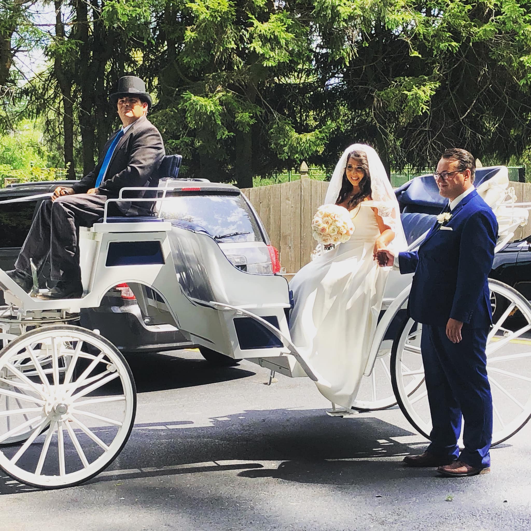 Horse-drawn carriage at a fair or festival