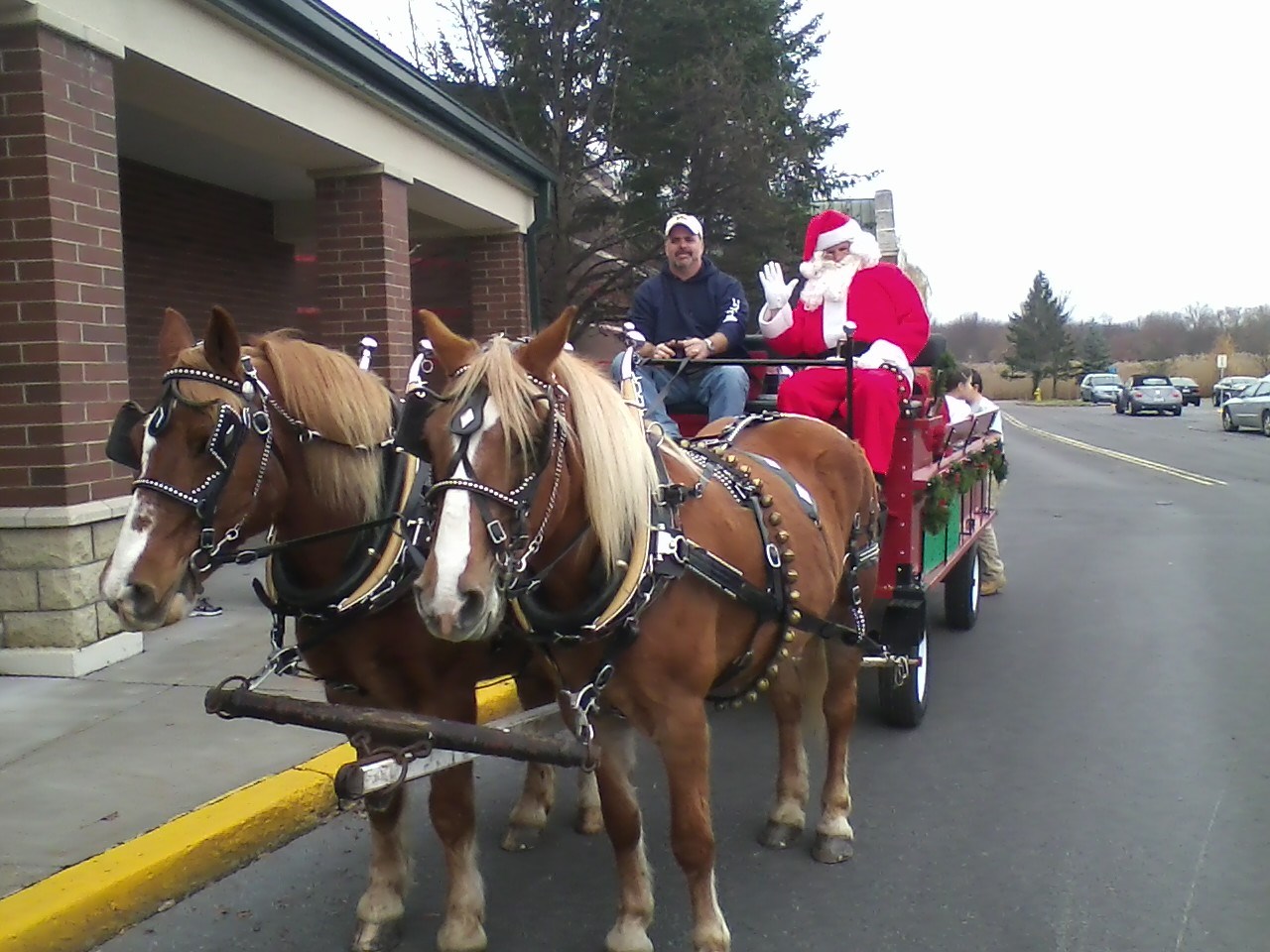 Horses in harnesses ready for wagon rides at a local fair