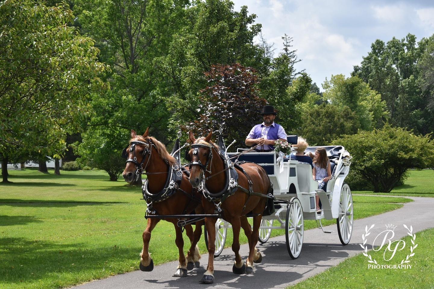 Horse-drawn sleigh ride in winter