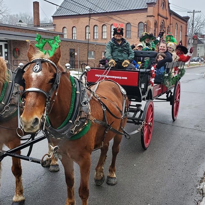 Horse-drawn carriage on a lush green field
